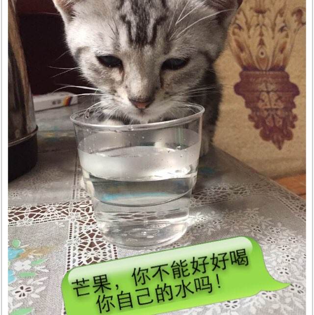 富克旺根音乐学院教育部认证办理
